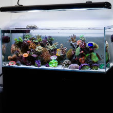 Tengeri inspirációk