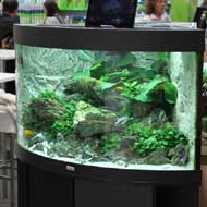 Juwel akvárium 2016.