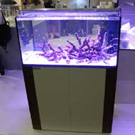 Tengeri akváriumok InterZoo 2016.