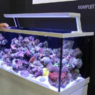 Tengeri akváriumok InterZoo 2016.