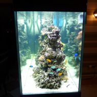 Tengeri akvárium 4. a kész térelválasztó akvárium 800 liter